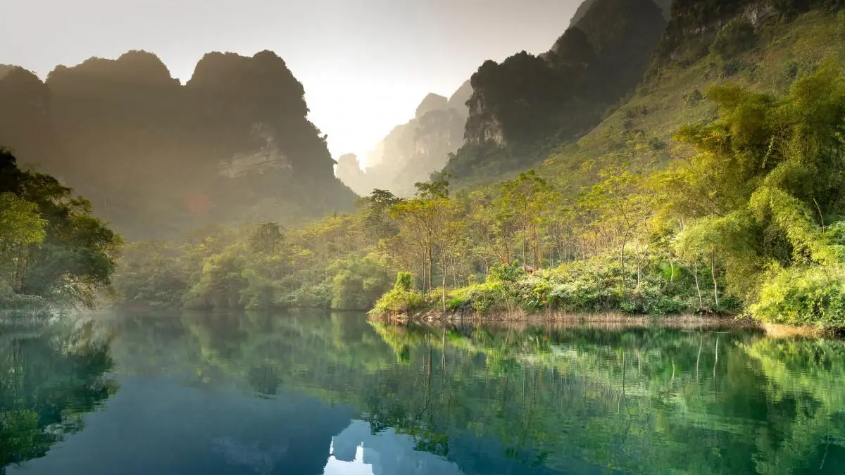 智能系统高性能高效